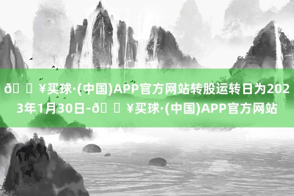 🔥买球·(中国)APP官方网站转股运转日为2023年1月30日-🔥买球·(中国)APP官方网站