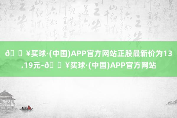 🔥买球·(中国)APP官方网站正股最新价为13.19元-🔥买球·(中国)APP官方网站