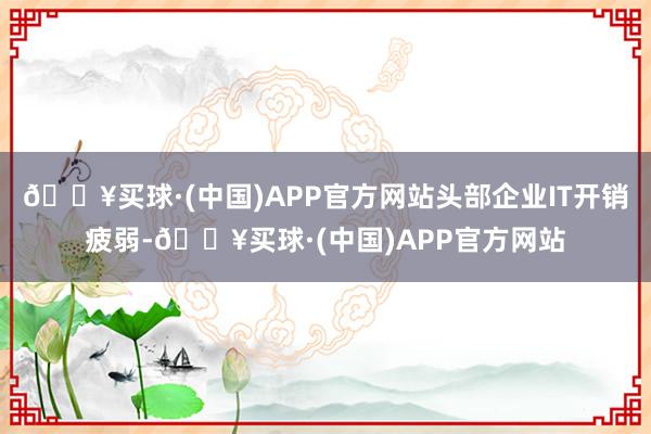 🔥买球·(中国)APP官方网站头部企业IT开销疲弱-🔥买球·(中国)APP官方网站