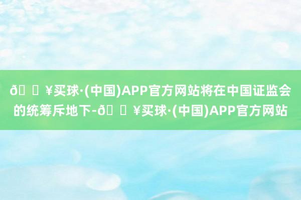 🔥买球·(中国)APP官方网站将在中国证监会的统筹斥地下-🔥买球·(中国)APP官方网站