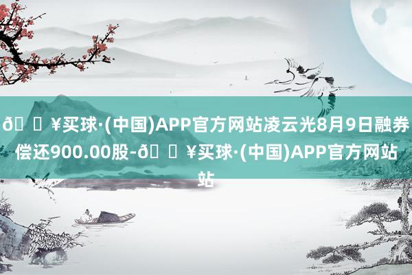 🔥买球·(中国)APP官方网站凌云光8月9日融券偿还900.00股-🔥买球·(中国)APP官方网站