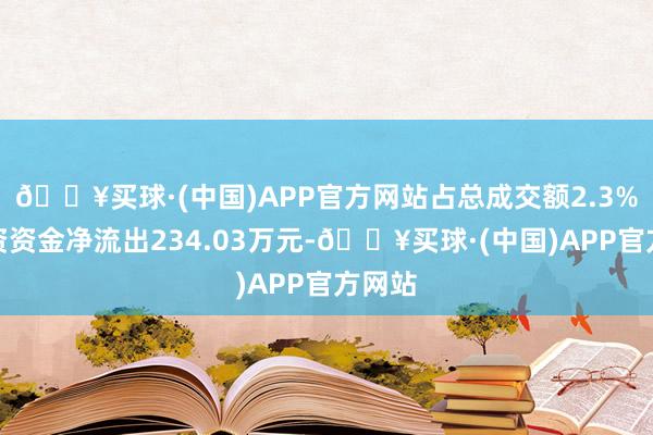 🔥买球·(中国)APP官方网站占总成交额2.3%；游资资金净流出234.03万元-🔥买球·(中国)APP官方网站