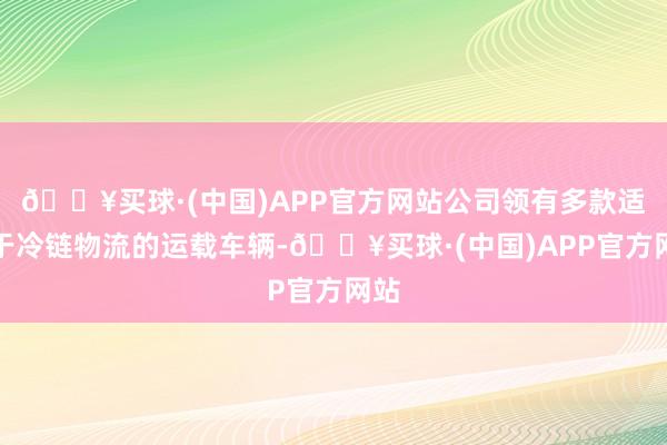 🔥买球·(中国)APP官方网站公司领有多款适用于冷链物流的运载车辆-🔥买球·(中国)APP官方网站