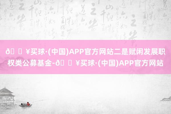 🔥买球·(中国)APP官方网站二是赋闲发展职权类公募基金-🔥买球·(中国)APP官方网站