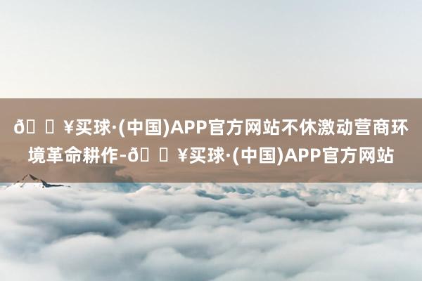 🔥买球·(中国)APP官方网站不休激动营商环境革命耕作-🔥买球·(中国)APP官方网站