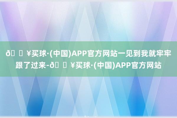 🔥买球·(中国)APP官方网站一见到我就牢牢跟了过来-🔥买球·(中国)APP官方网站