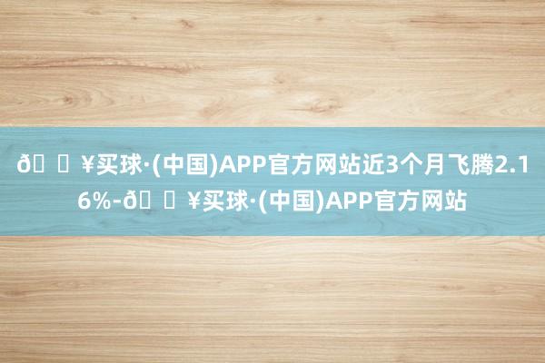 🔥买球·(中国)APP官方网站近3个月飞腾2.16%-🔥买球·(中国)APP官方网站