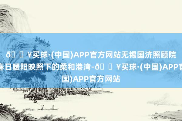 🔥买球·(中国)APP官方网站无锡国济照顾院却宛如春日暖阳映照下的柔和港湾-🔥买球·(中国)APP官方网站