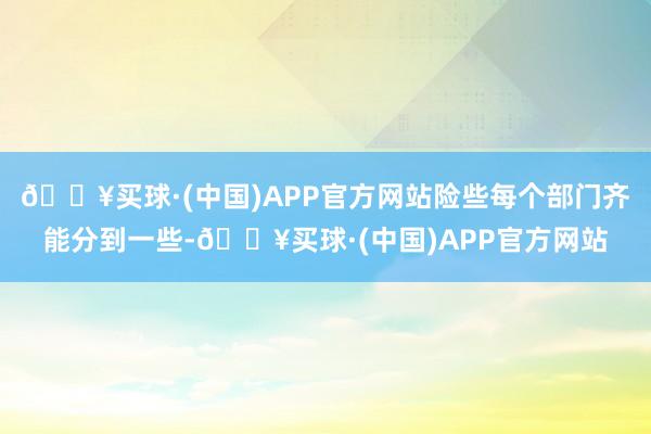 🔥买球·(中国)APP官方网站险些每个部门齐能分到一些-🔥买球·(中国)APP官方网站