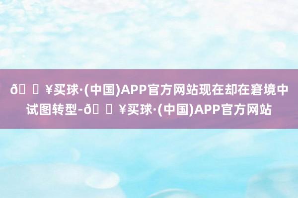 🔥买球·(中国)APP官方网站现在却在窘境中试图转型-🔥买球·(中国)APP官方网站