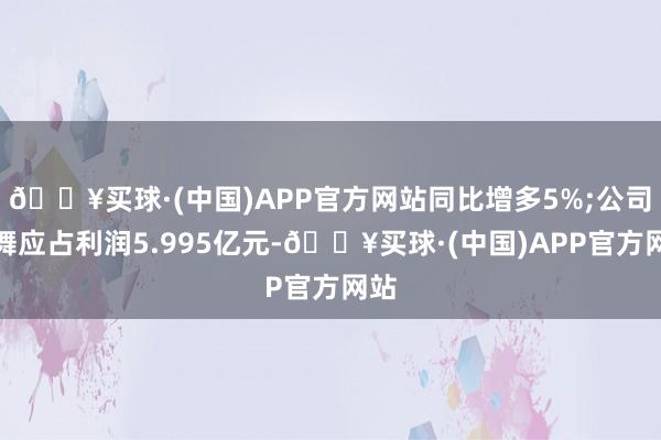 🔥买球·(中国)APP官方网站同比增多5%;公司鼓舞应占利润5.995亿元-🔥买球·(中国)APP官方网站